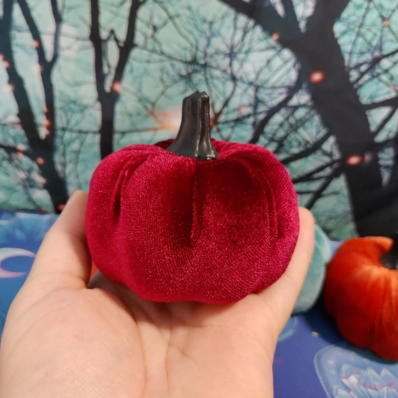 Velvety Pumpkins - Picture 3 of 3